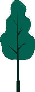 DƬ